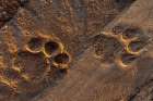 Lion tracks in the sand Voi-Tsavo National Park-Kenya Art Print